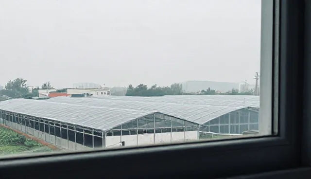 公司展示网站制作:数据可视化助力定制化方案落地