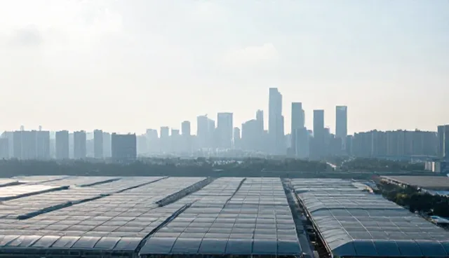 企业信息管理中的网络推广误区与应对策略