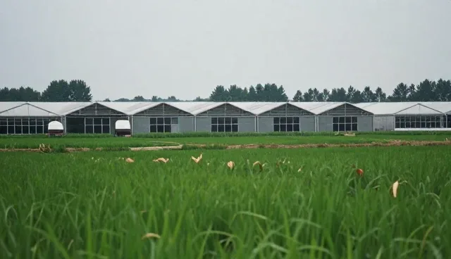 哪里能网站建设公司 展示板块如何升级商机匹配服务